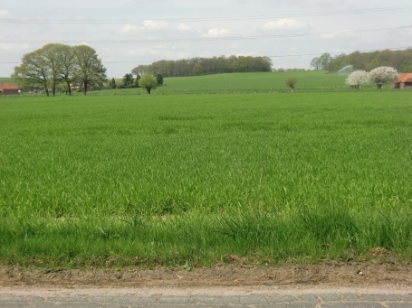 Kempen-Tönisberg : Blick vom Lookdyk auf die Schaephuysener Höhen